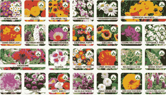 Flower Seeds (Pack of 100) And Get Plant Growth Supplement Free