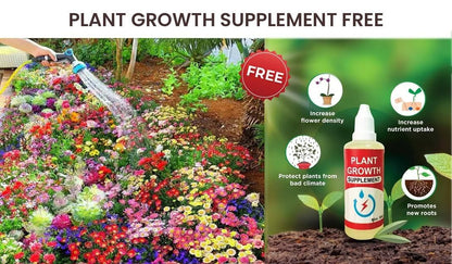Flower Seeds (Pack of 100) And Get Plant Growth Supplement Free