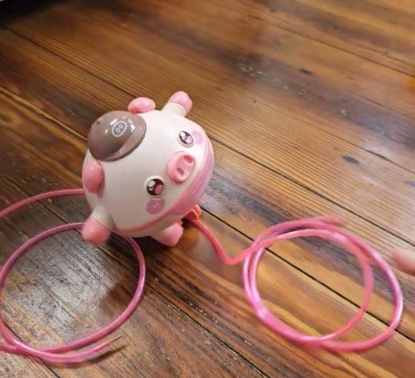 Walking Tumbler Pig Walking Tightrope for Children